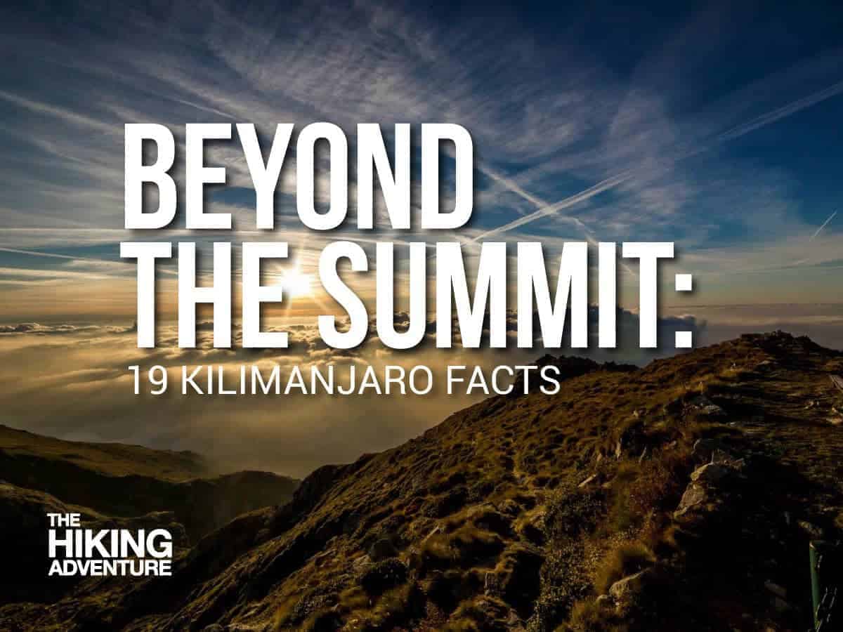 Kilimanjaro facts 19 Kilimanjaro facts