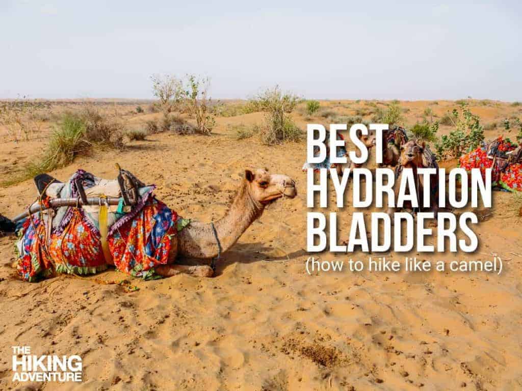 best hydration bladder for hiking be like a camel!