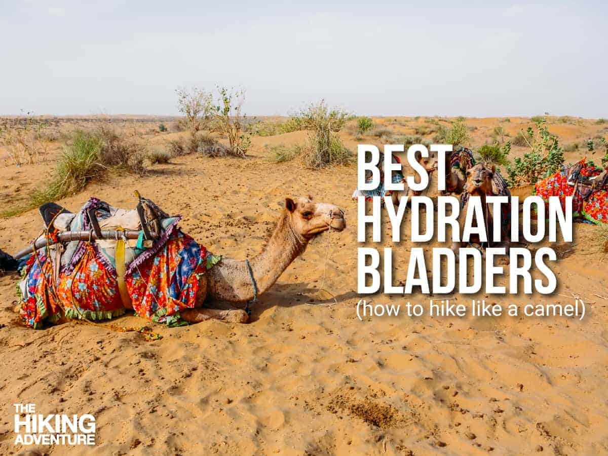 Best Hydration Bladders for Hiking & Backpacking