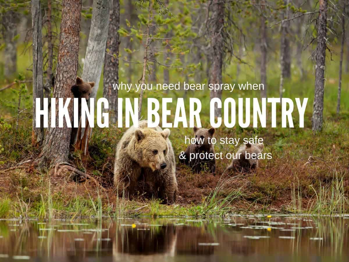 Best Bear Spray: How to Handle Bear Encounters