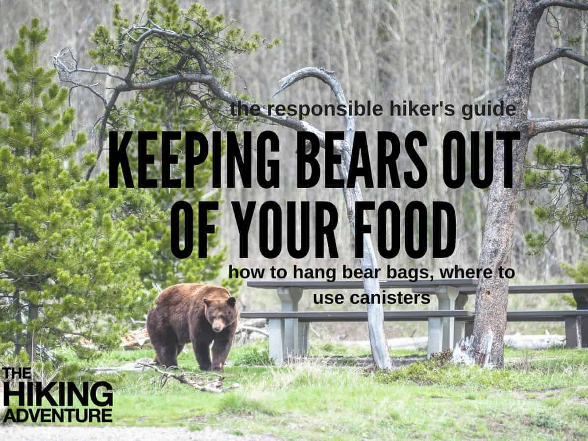 How to Keep Bears out of your Food: Bags, Canisters..