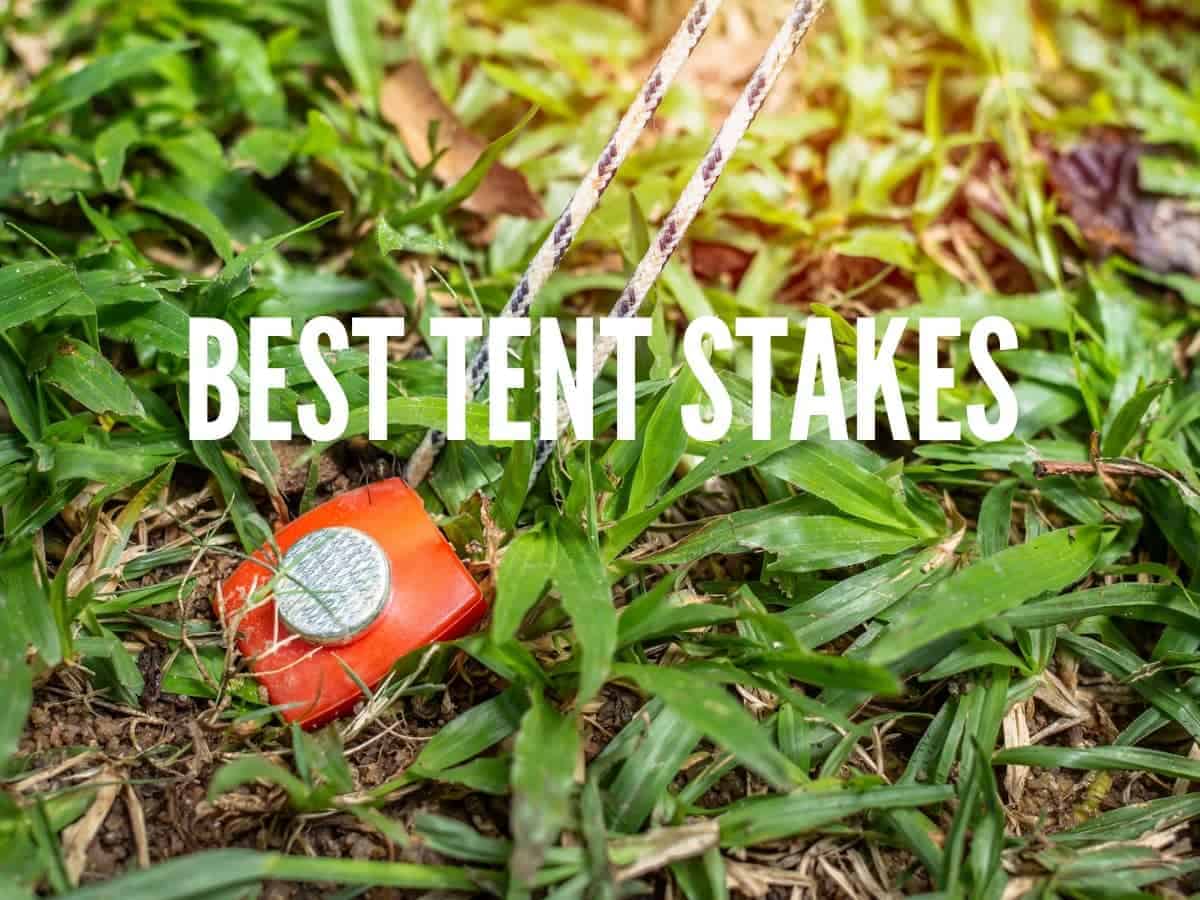 Best Tent Stakes (Pegs) and How to Secure your Tent
