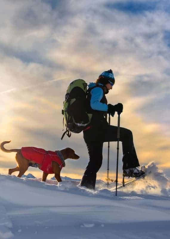 snow-winter-snowshoes