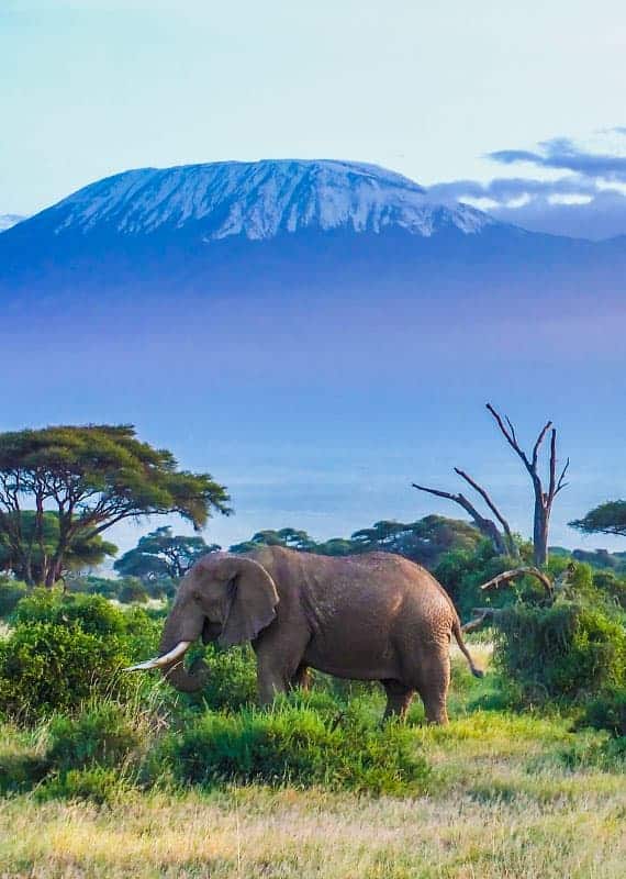 travel-kilimanjaro