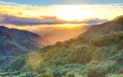 Camping with My Brother