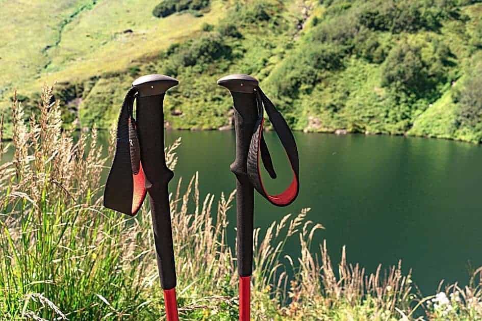 straps on hiking poles