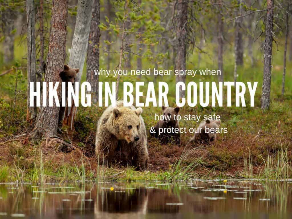 safety in bear country