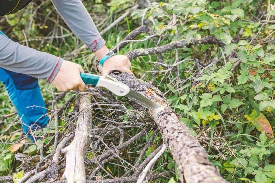 Folding saw cuts thru wood branch