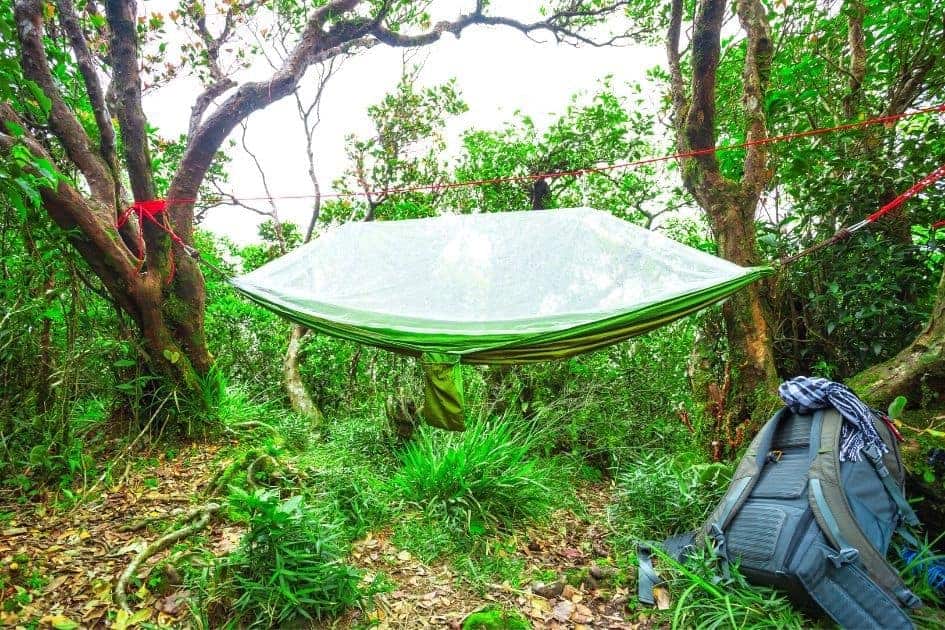 Use bug net on hammock to keep out the bugs