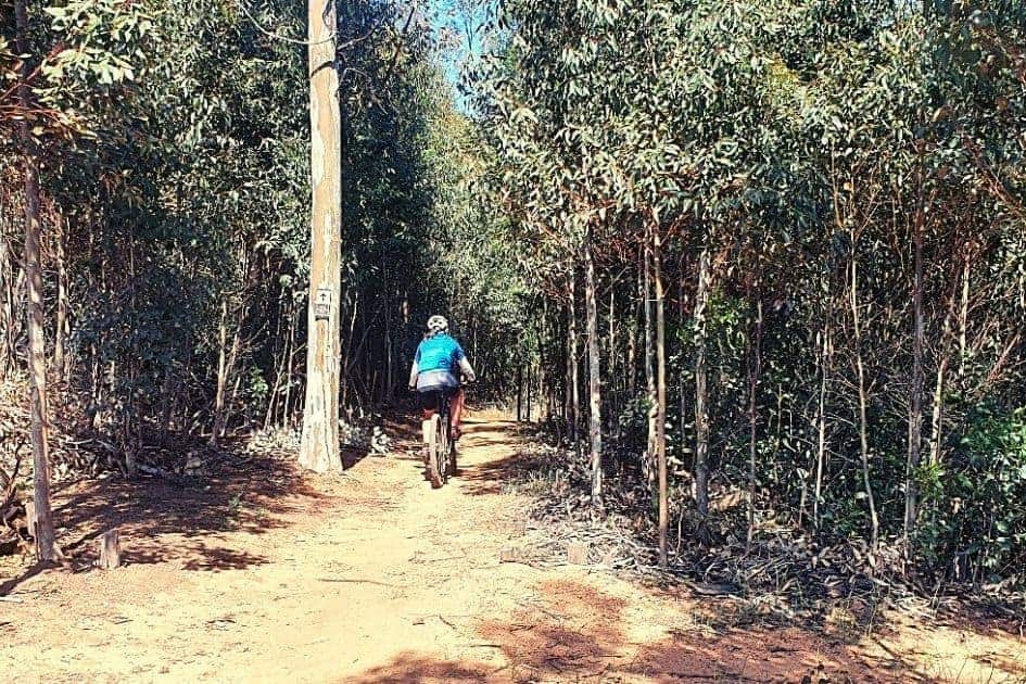 Cycling at Muratie Wine Trails