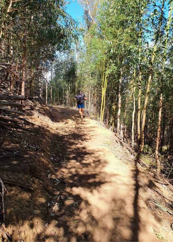 Willie Richards running trails at the Muratie Wines