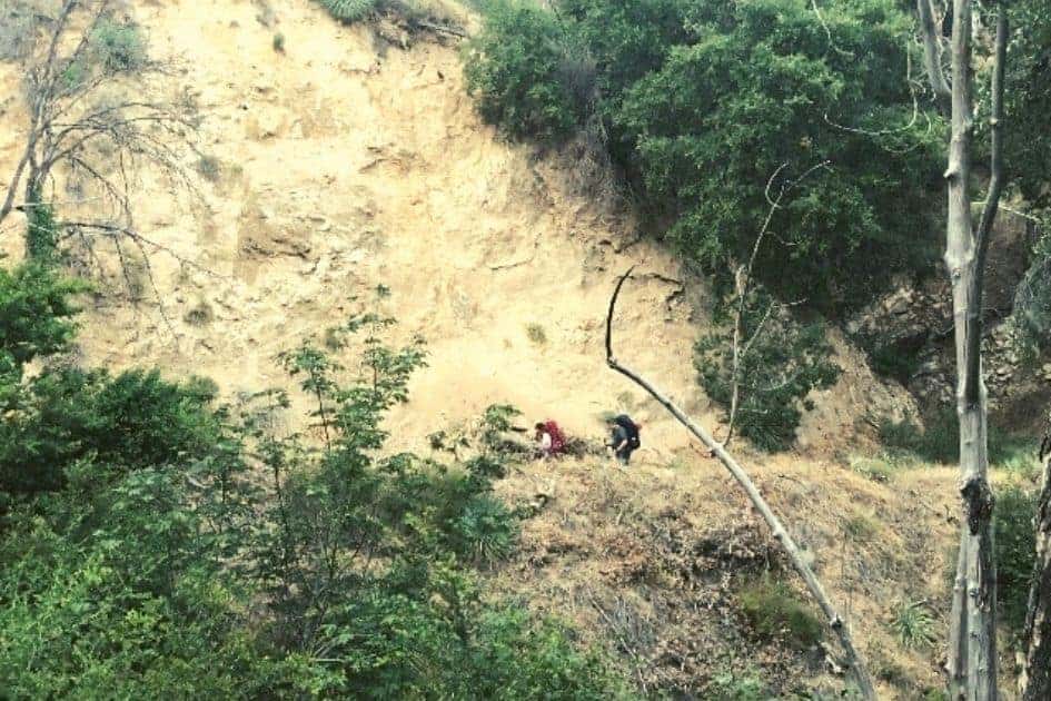 Los Angeles National Forest