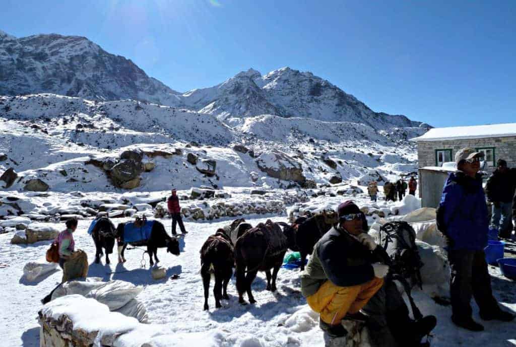 trousers for trekking