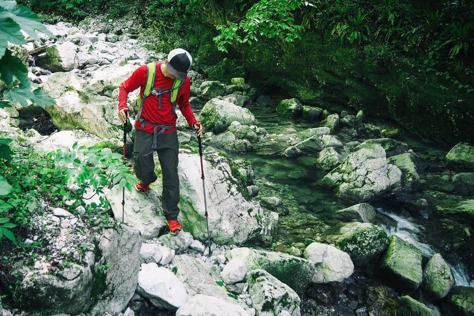 hiking poles and hiking pants in woods