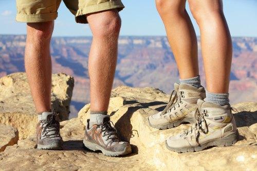 Hiking shoes or hiking boots