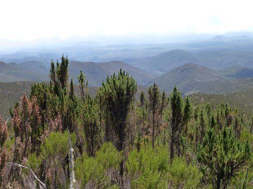 Mountain climate zones