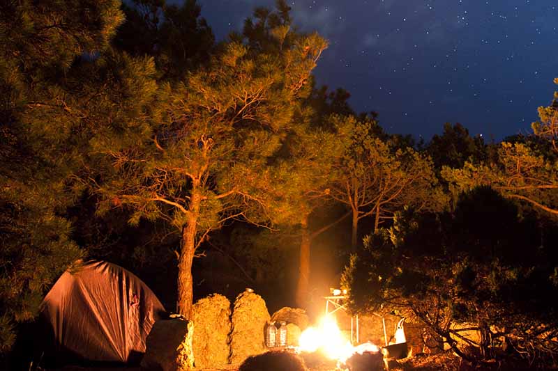 A campsite at night with a fire lighting a tent to the left of the frame and pine trees in the background with a starry sky.