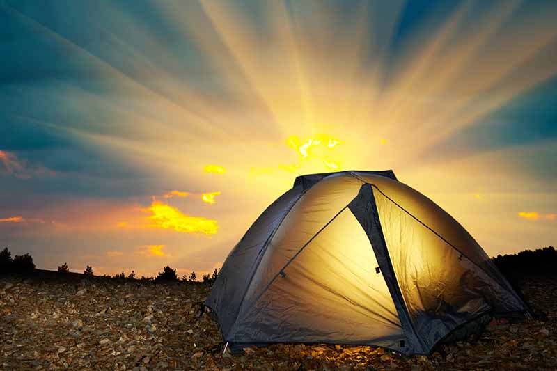 A tent pitched in the wilderness illuminated by a sunset, with light seeping into the compartment and through the clouds. The background is trees in silhouette.