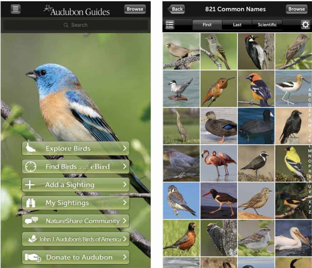 Audubon Birds App