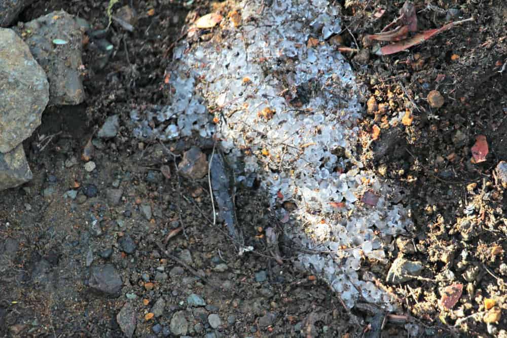 mountain conditions in Kenya