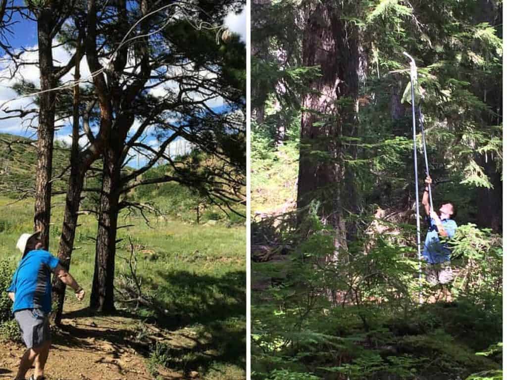 hoisting a bear bag into a tree