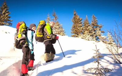 Mountaineering Gear Essentials: What You Must Bring