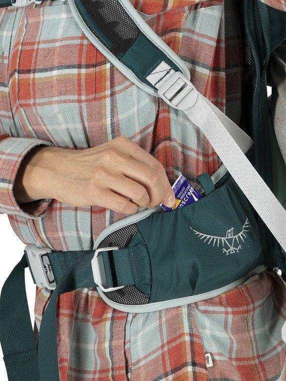 Hiking carrier waist pouch
