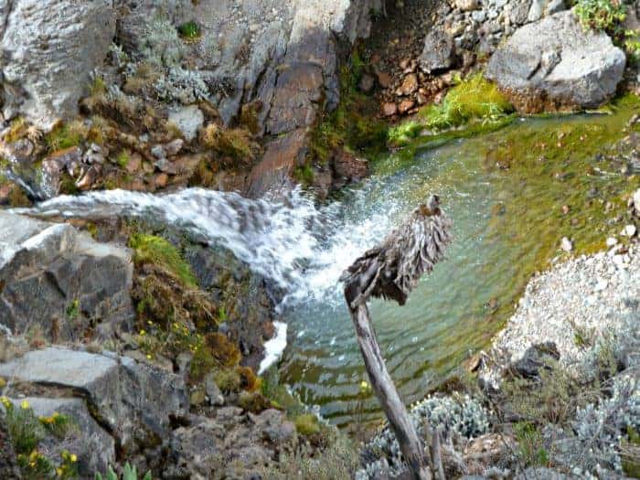 drinking stream water after purifying