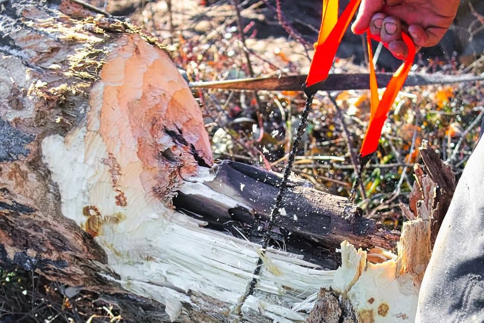 Cutting log with pocket chain saw