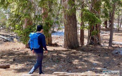 Arc’teryx Alpha SL 23 Backpack Review: What to Know Before You Buy