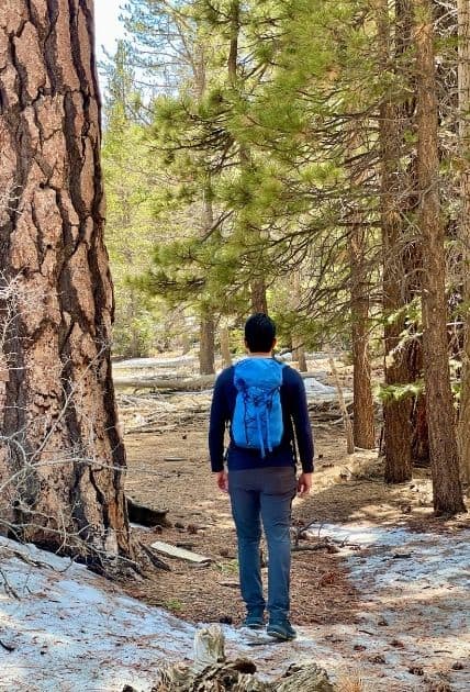 Arcteryx Alpha SL 23 backpack Review
