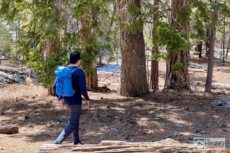 Joey Dang hiking in San Jacinto mountains wearing Arc'teryx alpha sl 23