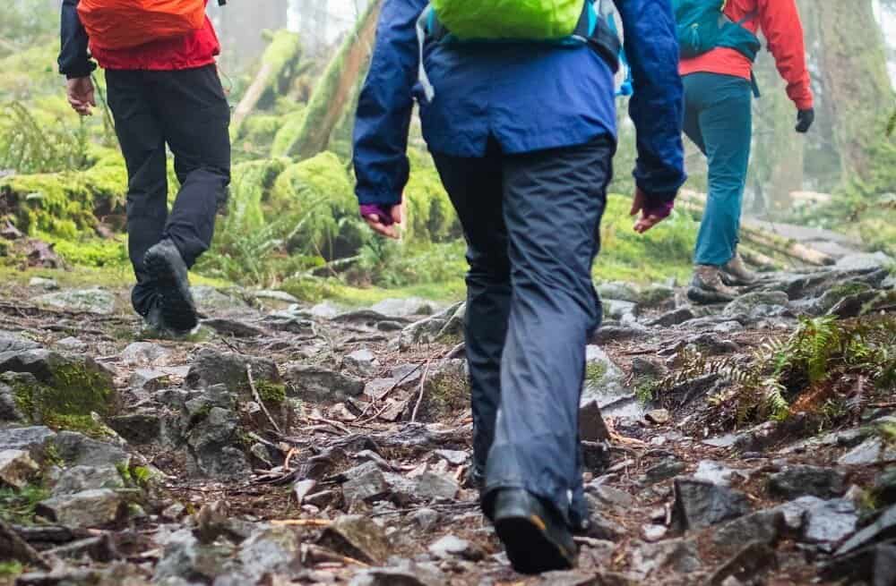 man hiking in forest