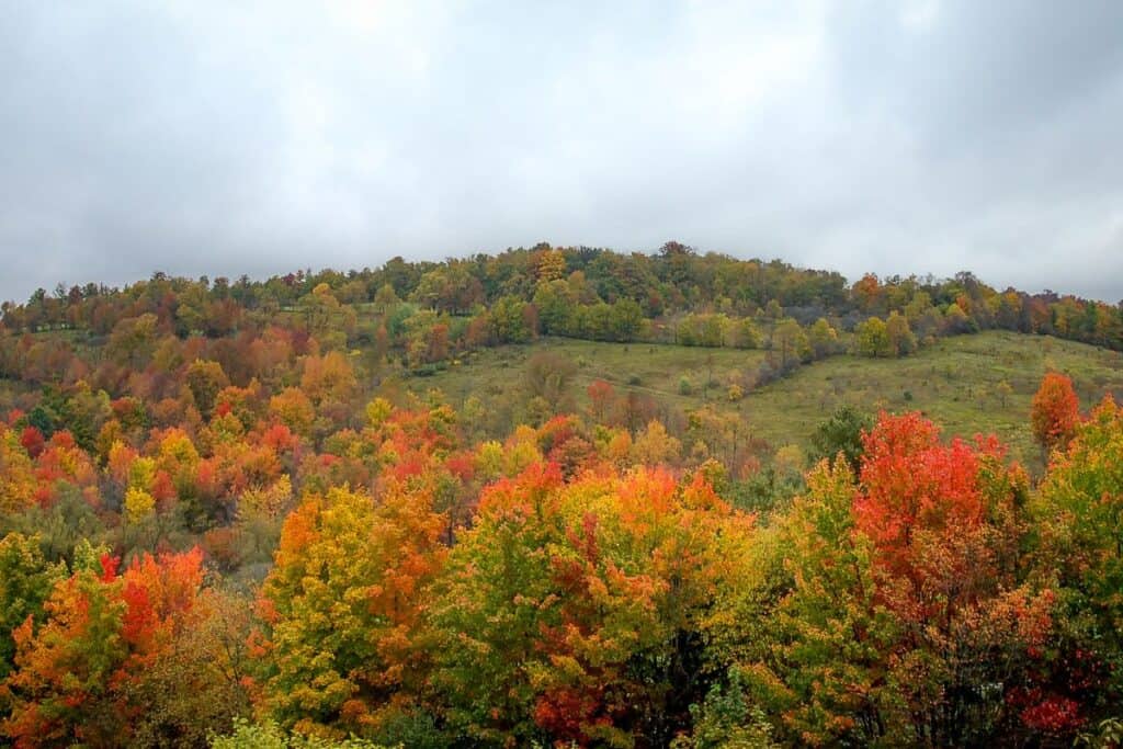 Scenic Trail (Catskills) 