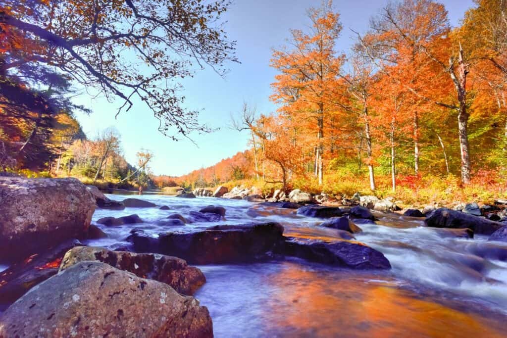 Where To See The Best New York Fall Foliage