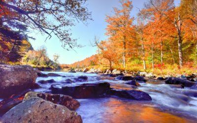 Where To See The Best New York Fall Foliage?