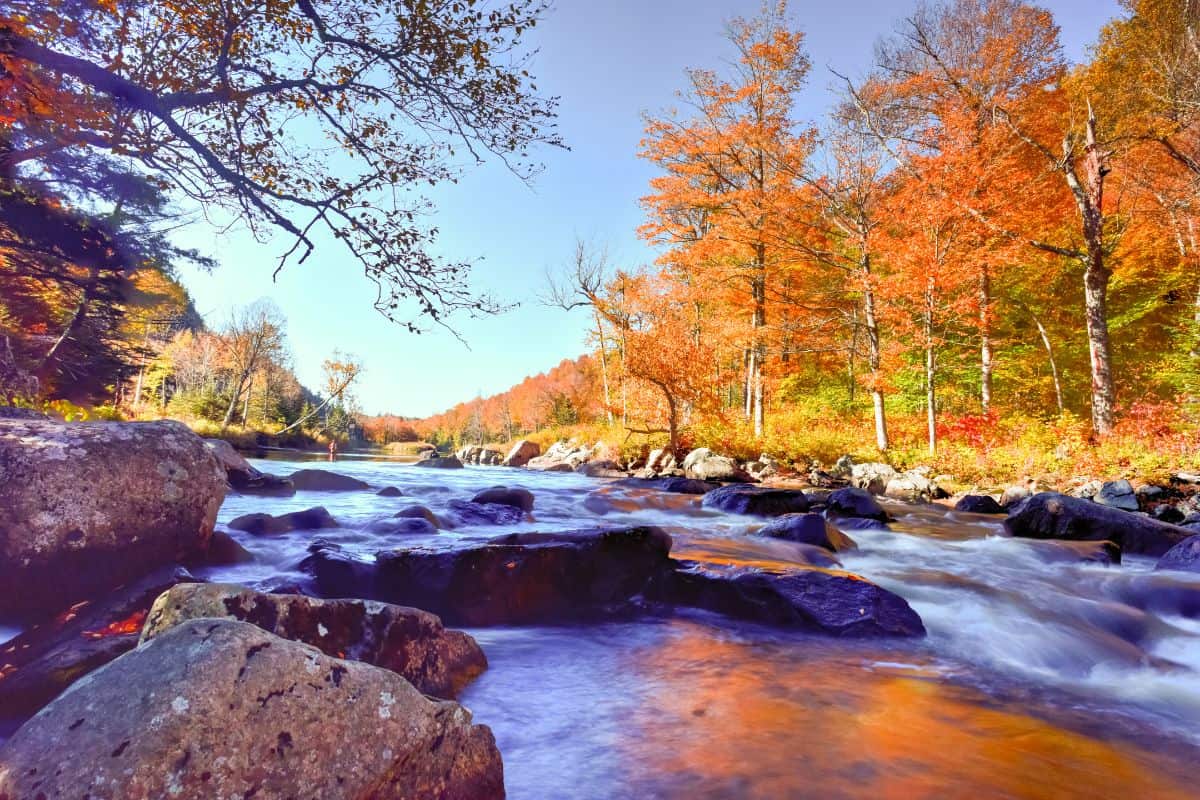 Where To See The Best New York Fall Foliage