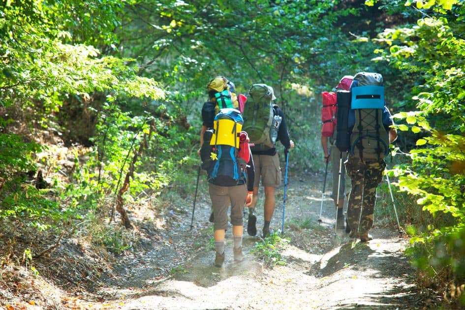 Group of hikers hiking in bear country