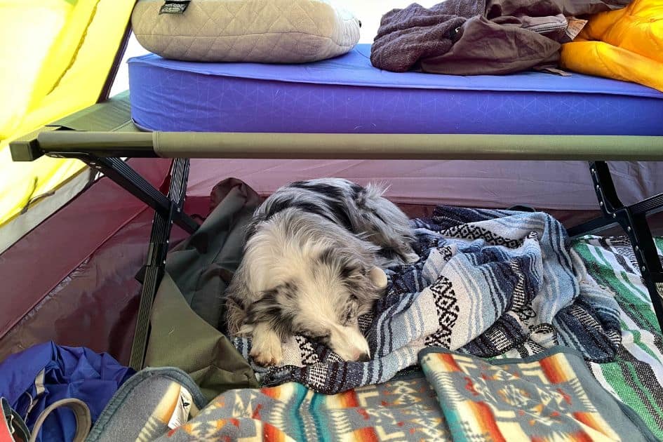 Sierra Snow keeps warm in a tent