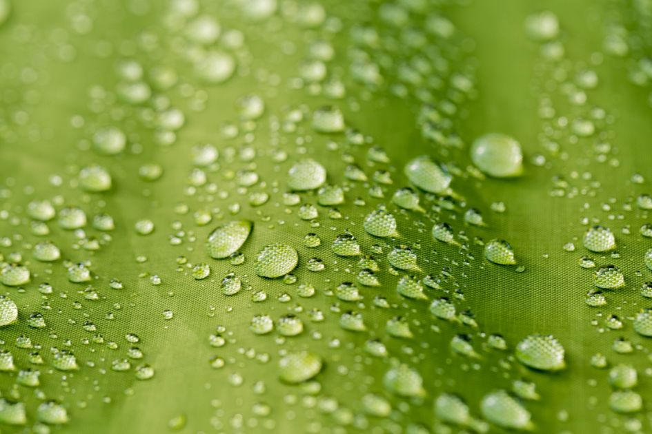 upclose water beading on tent