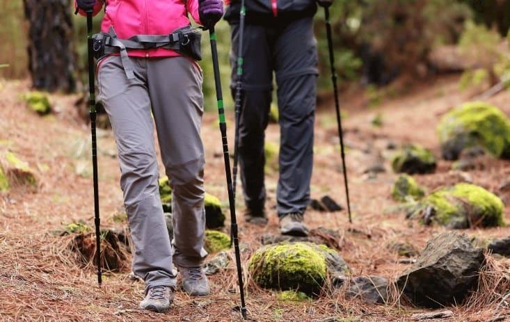 people using trekking poles